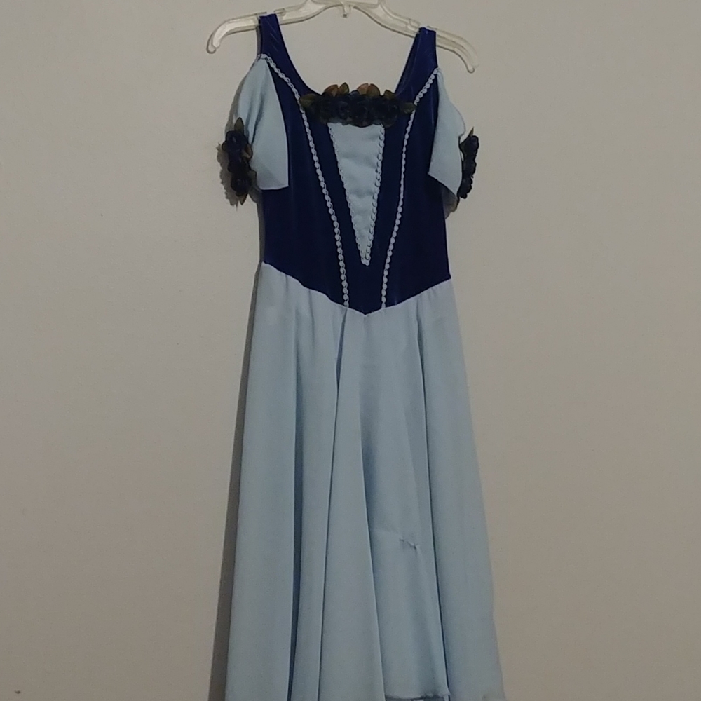 Blue Ballet Costime